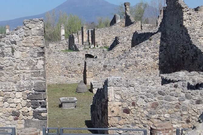 Transfer From Naples to Sorrento With a Stop at Pompeii and Mt.Vesuvius(1-8 Pax) - Reviews