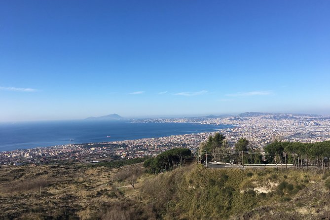 Transfer From Naples to Sorrento With Stop in Herculaneum and Pompeii - Transfer Options Available