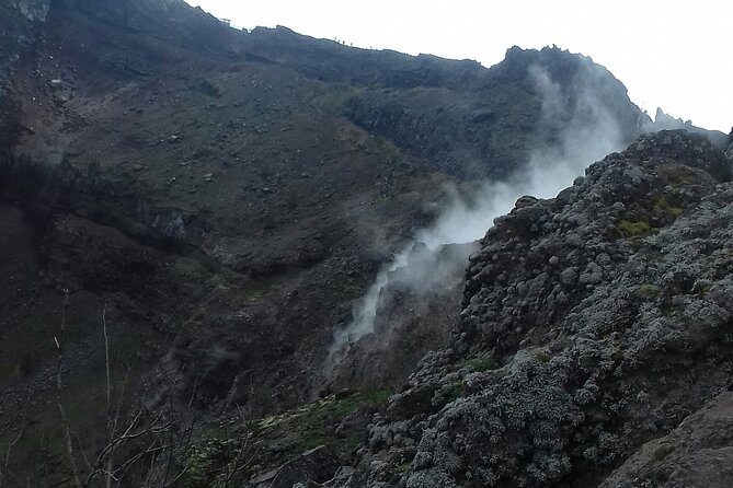 Transfer From Naples Train Station/Area to Positano 2hr Stop in Mt. Vesuvius - Planning a 2-hour Stop in Mt. Vesuvius
