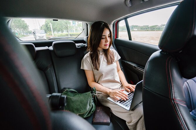 Transfer From Paris Charles De Gaulle Airport to Paris - Pricing and Guarantee