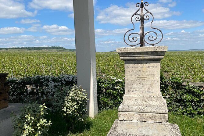 Transfer from Paris to Reims or Epernay - The experience in detail: what to expect