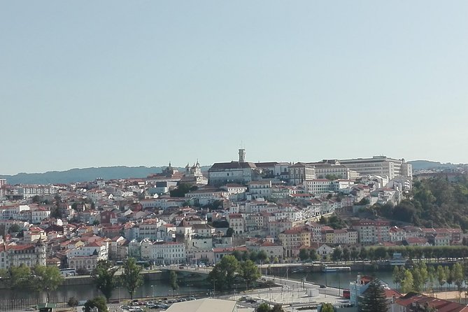 Transfer From Porto to Coimbra Visiting Aveiro, Half Day - Sightseeing in Aveiro