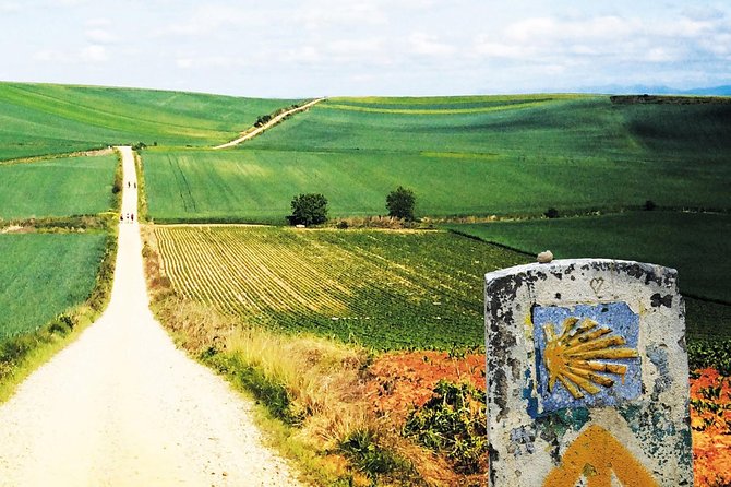 Transfer From Porto to Santiago De Compostela - Transfer Options Available