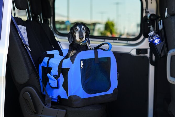 Transfer From Prague Airport - Additional Services Offered