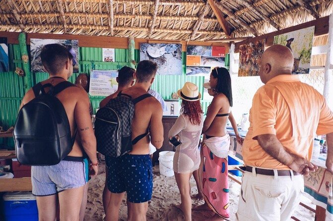 Transfer From Punta Cana International Airport to Hotels - Additional Information