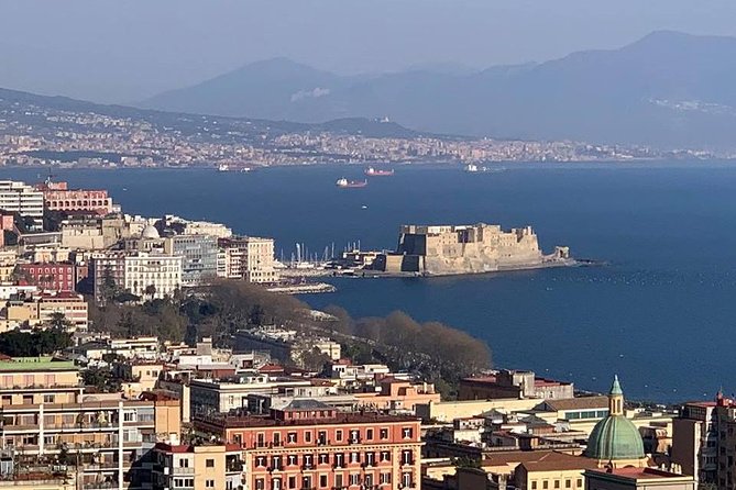 Transfer From Rome to Naples - Accessibility Features