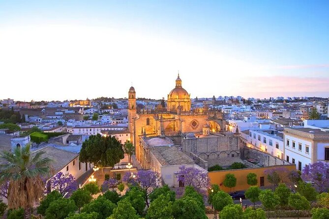 Transfer From Seville to Cadiz - The Sum Up