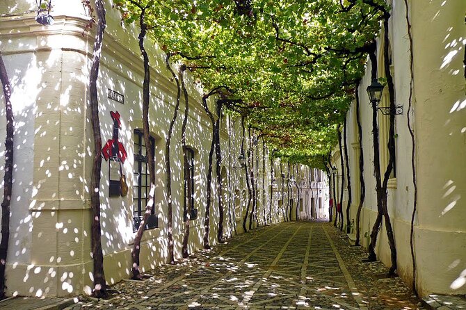 Transfer From Seville to Jerez - Pricing and Booking Details