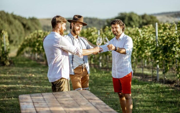 Transfer From Sorrento to Rome Area & Stop at Winery - Itinerary Highlights