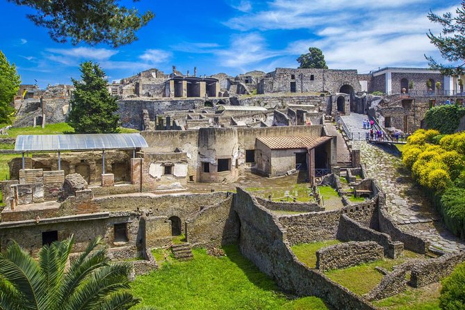 Transfer From SORRENTO to ROME With 2 Hours Stopover in Pompeii ( Not Sharing ) - Price and Booking Options