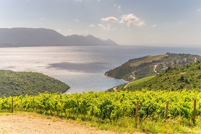 Transfer From Split to Dubrovnik With 2 Hours Stop in Ston Town - Hassle-free Pickup