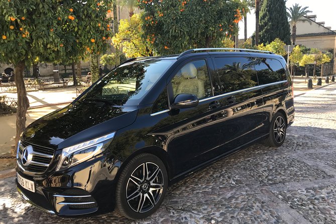 Transfer From the Airport to Madrid - Types of Airport Transfers in Madrid
