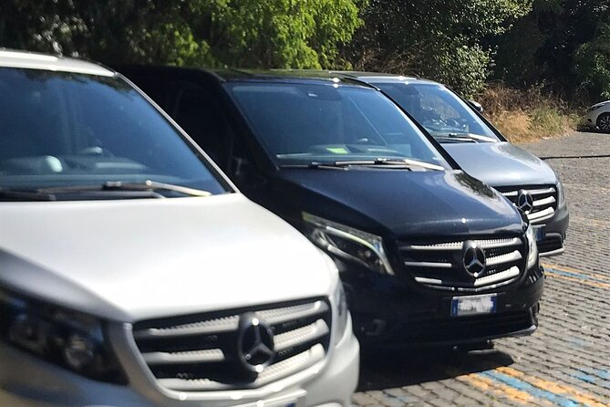 Transfer From the Port of Civitavecchia to Fiumicino Airport - Booking Information