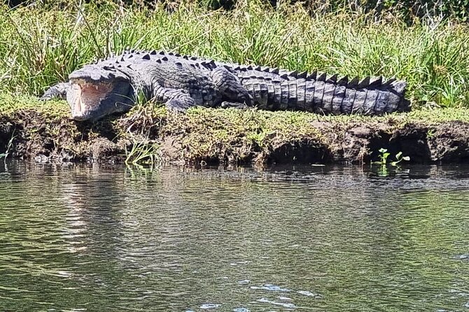 Transfer From Tortuguero to Moin by Boat - Boat Departure Time