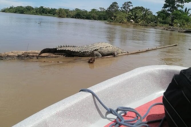 Transfer From Tortuguero to Moin by Boat - Included Services