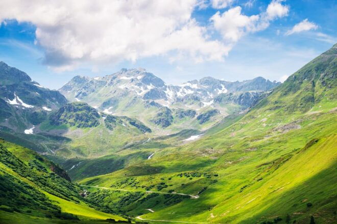 Transfer From Vienna to Munich, English-Speaking Driver - Driver Experience