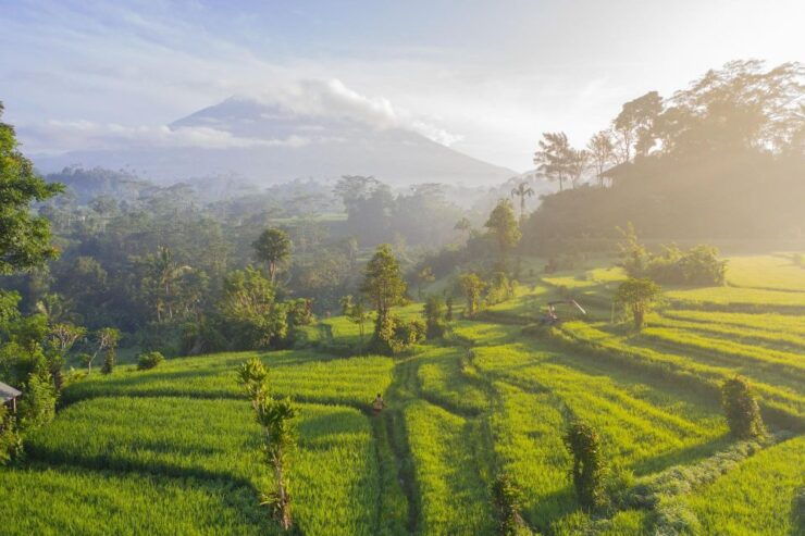Transfer I Gusti Ngurah Rai Airport to Nusa Dua Bali - Booking and Flexibility
