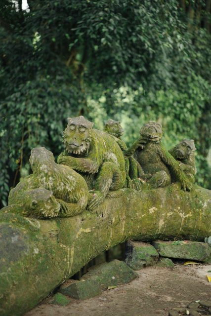 Transfer I Gusti Ngurah Rai Airport to Ubud Bali - Travel Experience