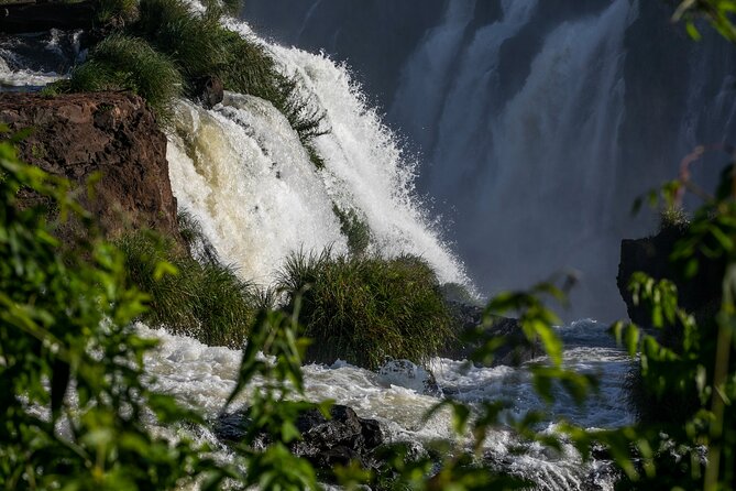 Transfer in IGU & IGUassu Falls Brazilian Side & Macuco Boat Safari - Cancellation Policy