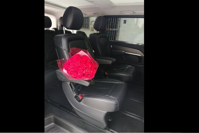Transfer in Luxury Mercedes Benz Minivan - Return Trip Considerations