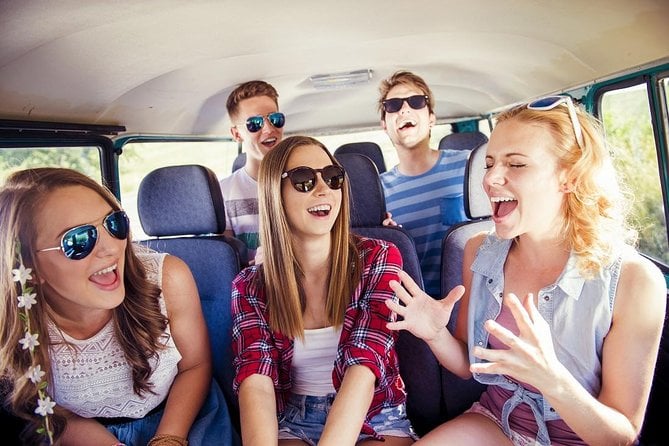 Transfer in Private Minivan Viena Airport (VIE)-Viena City - What To Expect