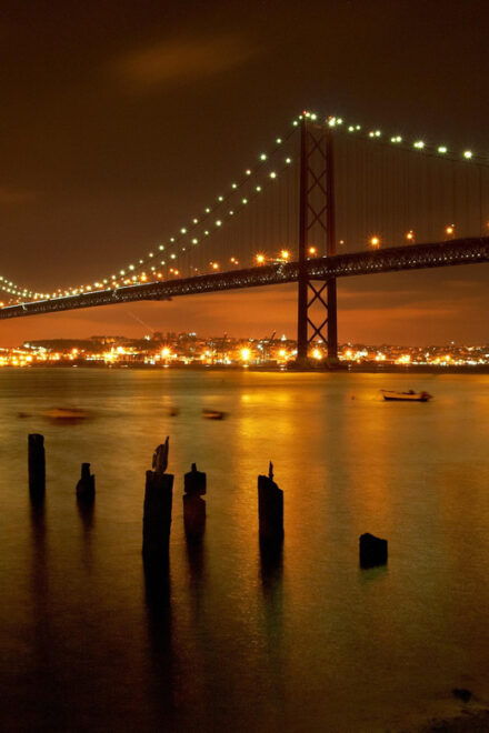 Transfer Lisbon to Algarve *Private Transfer* - Included Amenities