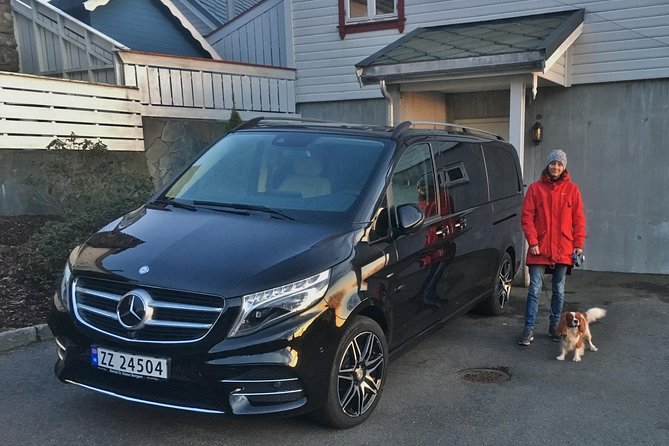 TRANSFER, LUXURY VAN 1-7 PAX: Bergen – Voss - Transfer Type: Luxury Van