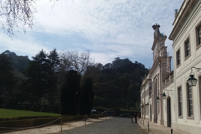 Transfer & Micro Tour of Porto - From Lisbon & Vice Versa - Pricing and Guarantee