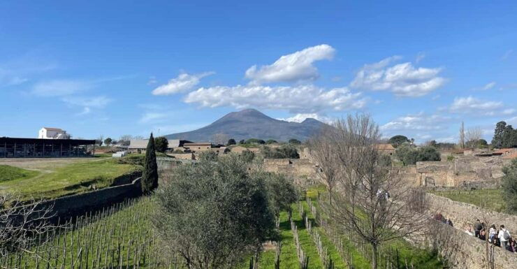 Transfer Naples/Salerno Apt - Hotel With Stop in Pompei. - Itinerary Highlights