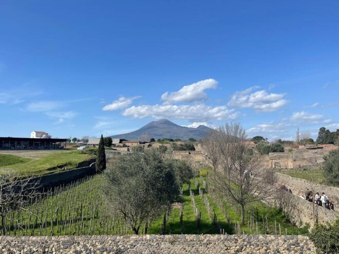 Transfer Naples/Salerno Apt - Hotel With Stop in Pompei. - Pricing Information