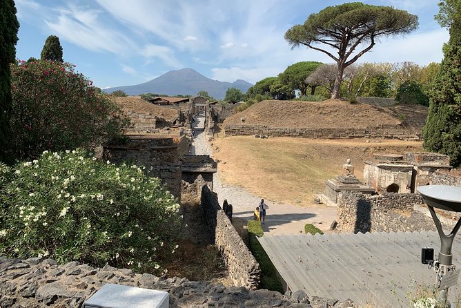 Transfer Naples to Sorrento and Stop in Pompeii - Personalized Service Benefits