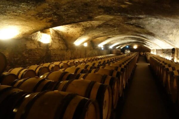 Transfer Paris : From Charles De Gaules Airport to Beaune - Travel Tips