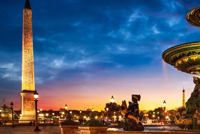 Transfer Paris With Driver to Disneyland - Expertise and Professionalism of the Drivers