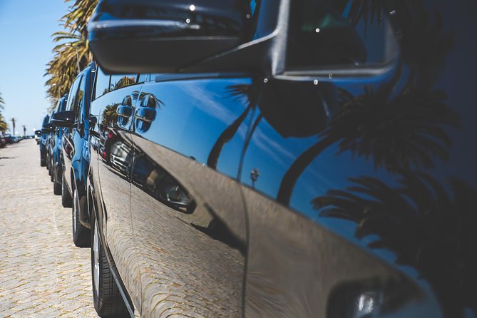 Transfer Porto Douro Valley or Vice Versa - Transfer Options