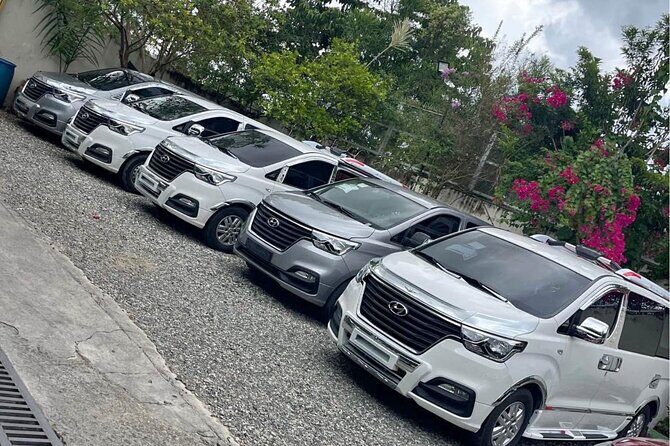 Transfer Private puj Hotel Viva Miches from 1 to 5 pax (via) - The Sum Up