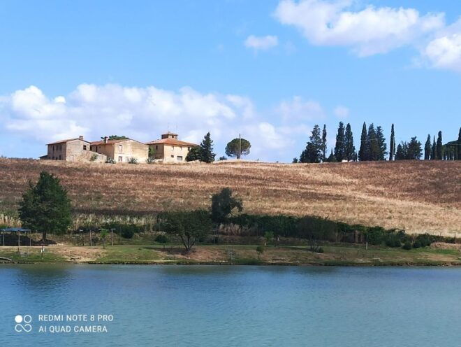 Transfer Siena-Florence With Visit to Chianti and Tasting - Full Description of the Tour