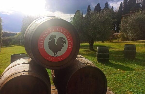 Transfer Siena-Florence With Visit to Chianti and Tasting - Important Information for Participants