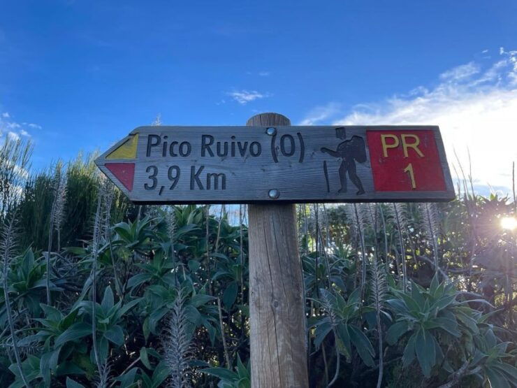 Transfer Sunrise Hike From Pico Areeiro to Pico Ruivo - Good To Know