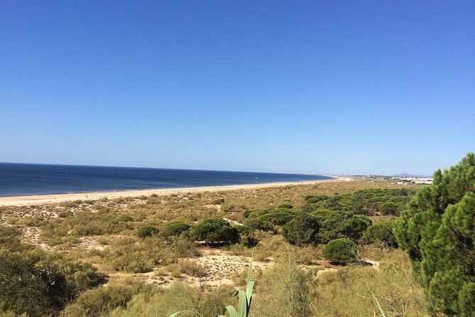 Transfer to Altura From Lisbon - Pickup Information