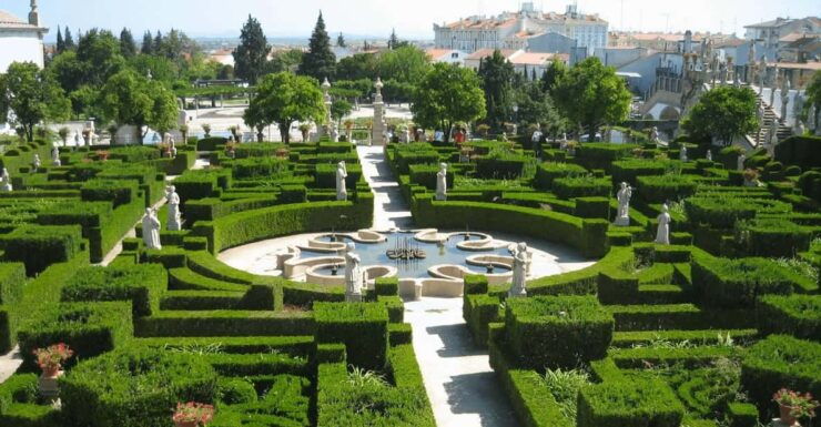 Transfer to Castelo Branco From Lisbon - Transport Features