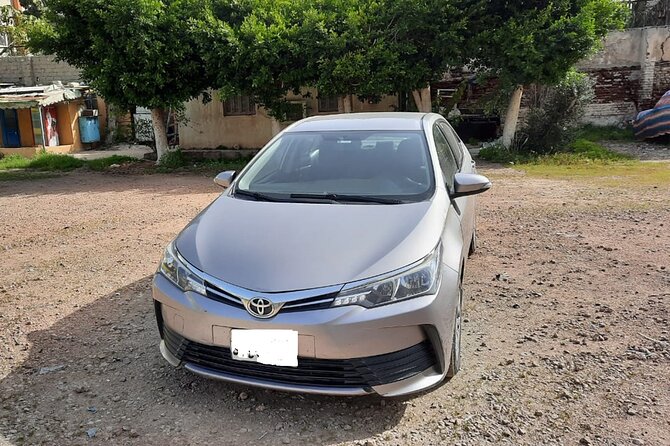 Transfer to East Bank Luxor From Hotel or Airport - Transfer Options From Hotel to East Bank Luxor