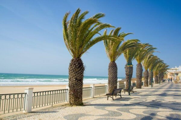 Transfer to Luz or Praia Da Luz (Algarve) From Lisbon - Frequently Asked Questions