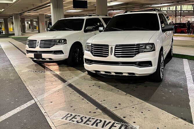 Transfer TO or FROM: Airport,Cruise,Hotel in DORADO or RIO GRANDE - The Experience: What to Expect and Why It Matters