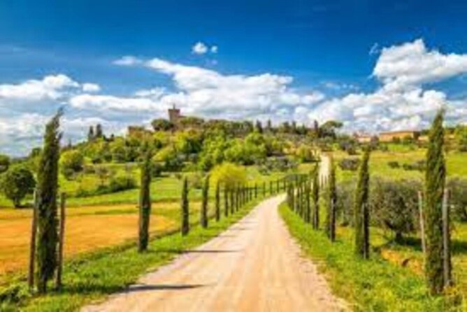 Transfer Tour From Florence to Rome With Lunch, Siena & Pienza - Transportation Information