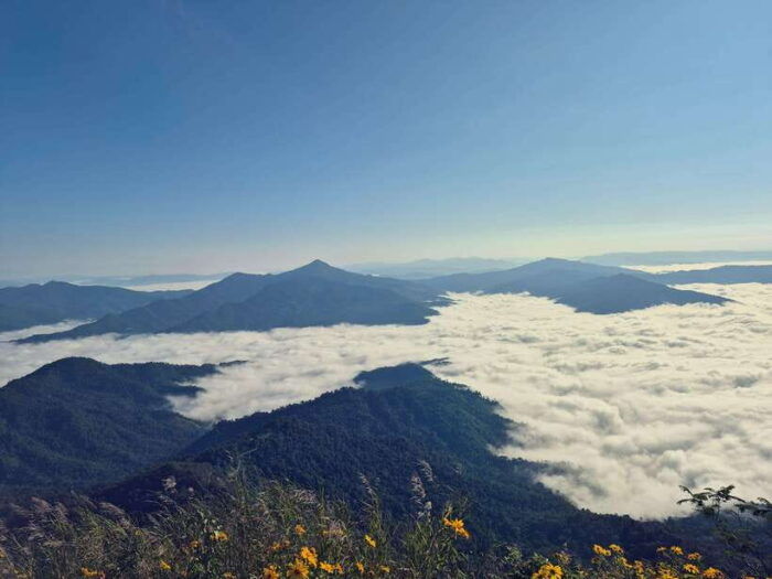 Transfer : Wonder Full Sunrise and Landscape at Phu Chifa - Frequently Asked Questions