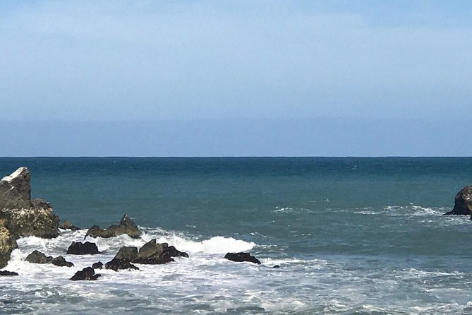 Transfers From Blenheim or Picton to Kaikoura - Meeting and Pickup Points