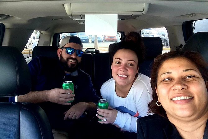 Transfers From Las America Airport AILA SDQTo All Place at Punta Cana - Overview of the Transfer