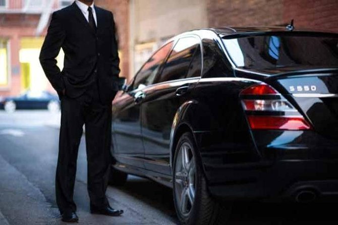 Transfers From / to Civitavecchia Sea Port to Rome - Accessibility and Additional Services