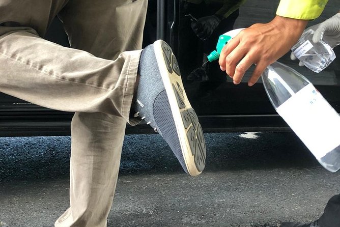 Transfers in Private Minibus - Common Questions