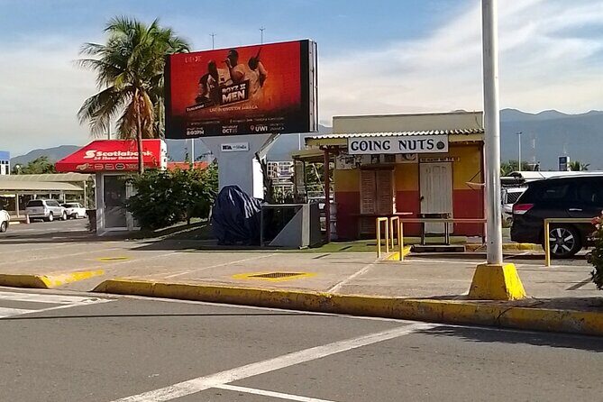 Transfers to Runaway Bay (Grand Bahia Principe) from Kingston. - Pickup and Arrival at the Airport